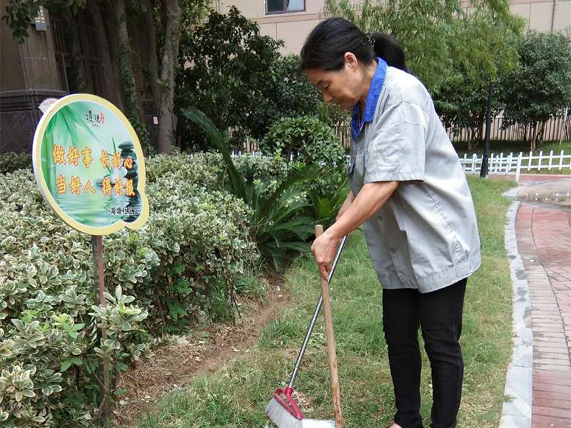 淮安物業公司對小區綠化的管理標準